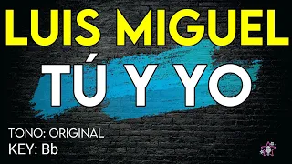 Luis Miguel - Tú Y Yo - Karaoke Instrumental