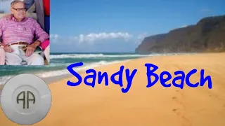 Sandy Beach - Spiritual Principles - AA Speaker