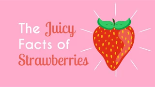 The Juicy Facts of Strawberries