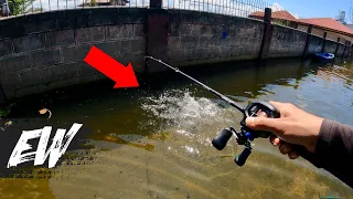 Fishing in the flood | Y4E10