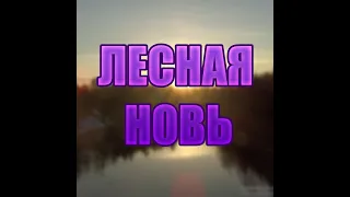 Трейлер канала"ЛЕСНАЯ НОВЬ"