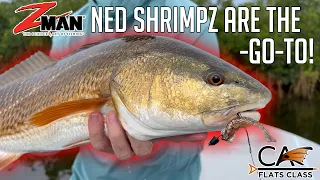 Z-Man Salty NED ShrimpZ Are The Go-To! | Flats Class YouTube