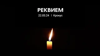 Михаил Вавилов - Реквием 22.03.24 Крокус (cover SHAMAN - РЕКВИЕМ 22.03.24)