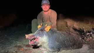 Do BIG NASTY BOAR HOGS Taste Good? {Catch Clean Cook}