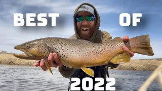 Fish Hawk | Best of 2022