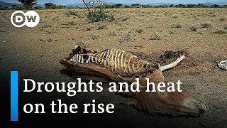The challenges of intensifying droughts and extreame heat | DW News