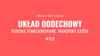 Układ oddechowy