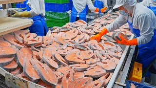 Salmon Cutting Processing Plant, Salmon Miso Soup Making /全台最大鮭魚加工廠, 鮭魚味增湯製作- 台灣海鮮工廠 - Food Factory