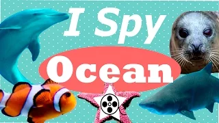 ANIMALS FOR KIDS! I Spy Ocean!