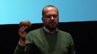 Eta Beta il botanico | Renato Bruni | TEDxCastelfrancoVeneto