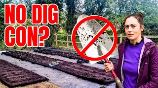 Is no dig gardening a CON? The REAL COST EXPOSED as a BEGINNER