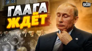 Арест Путина. Бункерная моль решила лететь в Африку - в Гааге отреагировали