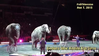 Ringling Bros: Elephants Show at American Airlines Center