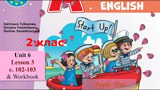 Start Up 2 НУШ Тема 6 Урок 3 с. 102-103 & Workbook ✔Відеоурок