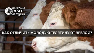 Как отличить молодую телятину от зрелой?