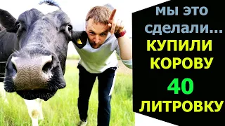 Мы это сделали... Купили коровку 40 литровку