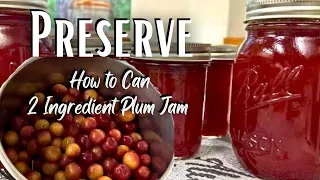 NO PECTIN Plum Jam Recipe