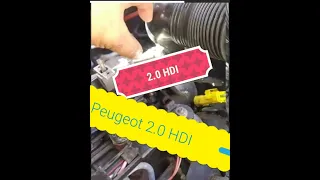 Suite de la Vidéo N° 03 PEUGEOT 2.0 HDI différence entre 110 et 90 chevaux