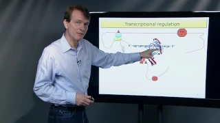 Lecture 9: The Genetic Basis of Disease