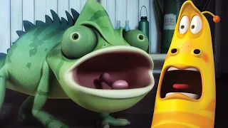 LARVA - FROG | Cartoon Movie | Cartoons For Children | Larva Cartoon | LARVA Official