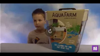 Акваферма выращиваем салат в аквариуме Aqua Farm grow crops in an aquarium with fish