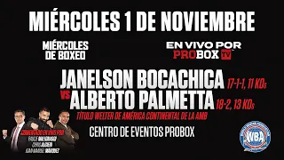 En Vivo por ProboxTV  Janelson Bocachica VS Alberto Palmetta