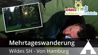 Wildes SH - Von Hamburg zum Trekkingplatz im Segeberger Forst 🌳 (79,8KM) 🚶‍♂️ | Mehrtageswanderung