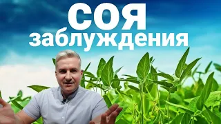 СОЯ- популярные заблуждения