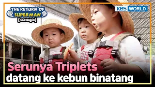 [IND/ENG] Instead of feeding animals, the Triplets ate the carrots!| Nostalgia Superman | KBS 140921