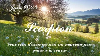 🌼🏵️ Scorpion ♏ 🏵️🌼Juin 2024🏵️Vous vous découvrez sous un nouveau jour grâce à la source🌼🏵️