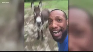 A Sumter man and his donkey sing the Lion King