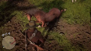 Horse falls from the sky in RDR 2