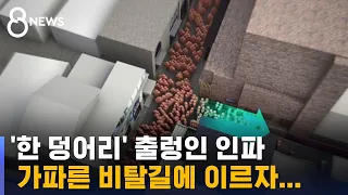 "한 덩어리로 출렁였다"…참사 원인은 '군중 유체화' / SBS 8뉴스