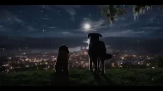 Леди и Бродяга (2019) — Трейлер |  Lady and the Tramp Official Trailer