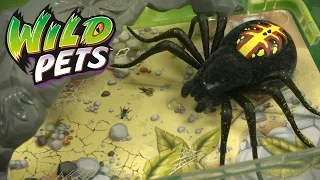 Wild Pets Spider Habitat from Moose Toys