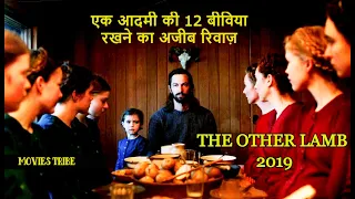 A Man with 12 Wives  | Movies Explanation In Hindi | The Other Lamb | Movies Tribe