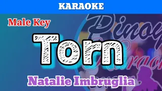 Torn by Natalie Imbruglia (Karaoke : Male Key)