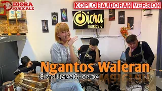 NGANTOS WALERAN UJANG CHOPLOX(COVER)||KOPLO BAJIDORAN VERSION||DIORA MUSICALE