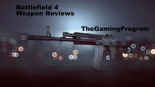 Battlefield 4: Accuracy or Stability?