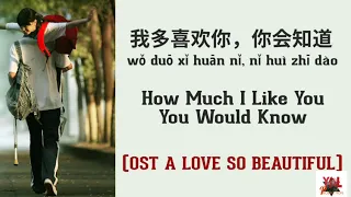 karaoke, a love so beautiful, lyrics #MV4 #Karoke