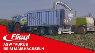 Maishäckseln mit dem Fliegl ASW TAURUS