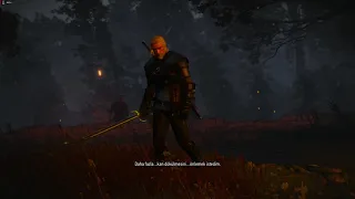 Witcher 3 You're... Immortal?