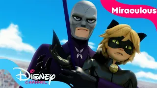 Nå er det to av Lady Bug | Miraculous | Disney Channel Norge