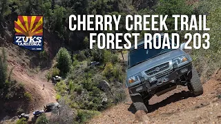 Cherry Creek Trail FR203
