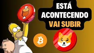 🚨URGENTE🚨 SHIBA INU 🔥QUEIMAS  SHIBARIUM 🚀 TOKEN BONE SUBINDO POR ISSO..