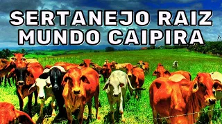 Sertanejo Raiz  Mundo Caipira