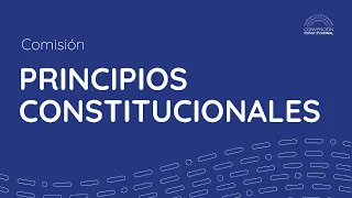 Comisión Principios Constitucionales N°62 - Convención Constitucional Chile - 22/04/22
