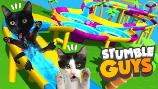 Gato jugando a juego STUMBLE GUYS por primera vez gira la ruleta / Videos de gatos Luna y Estrella