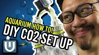 DIY Co2 for your Aquarium - How To