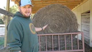 Is This The Best Hay Feeder For Goats?